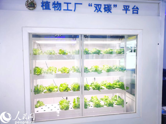 財(cái)經(jīng)觀察 激發(fā)創(chuàng)新源頭活力，科技賦能數(shù)字內(nèi)容，讓生活更精彩